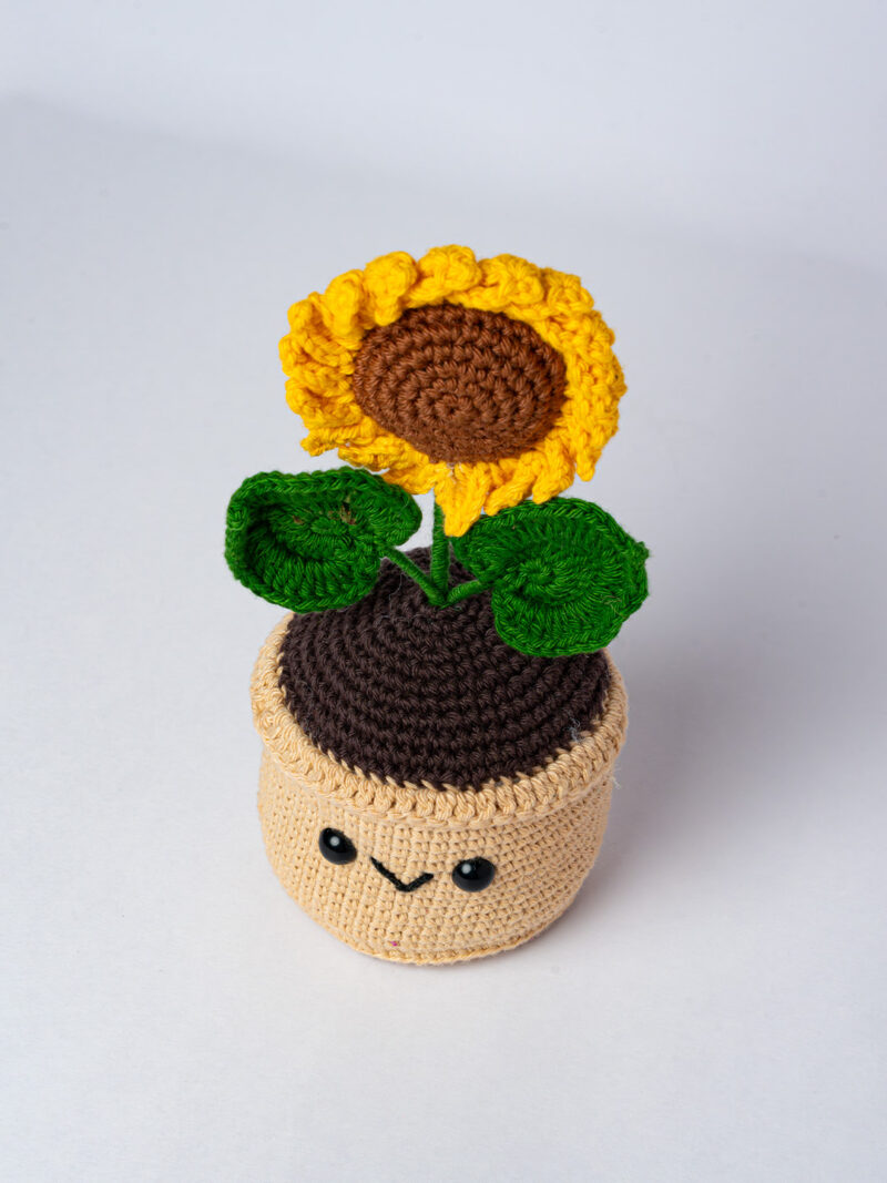 Smily Sunflower Pot